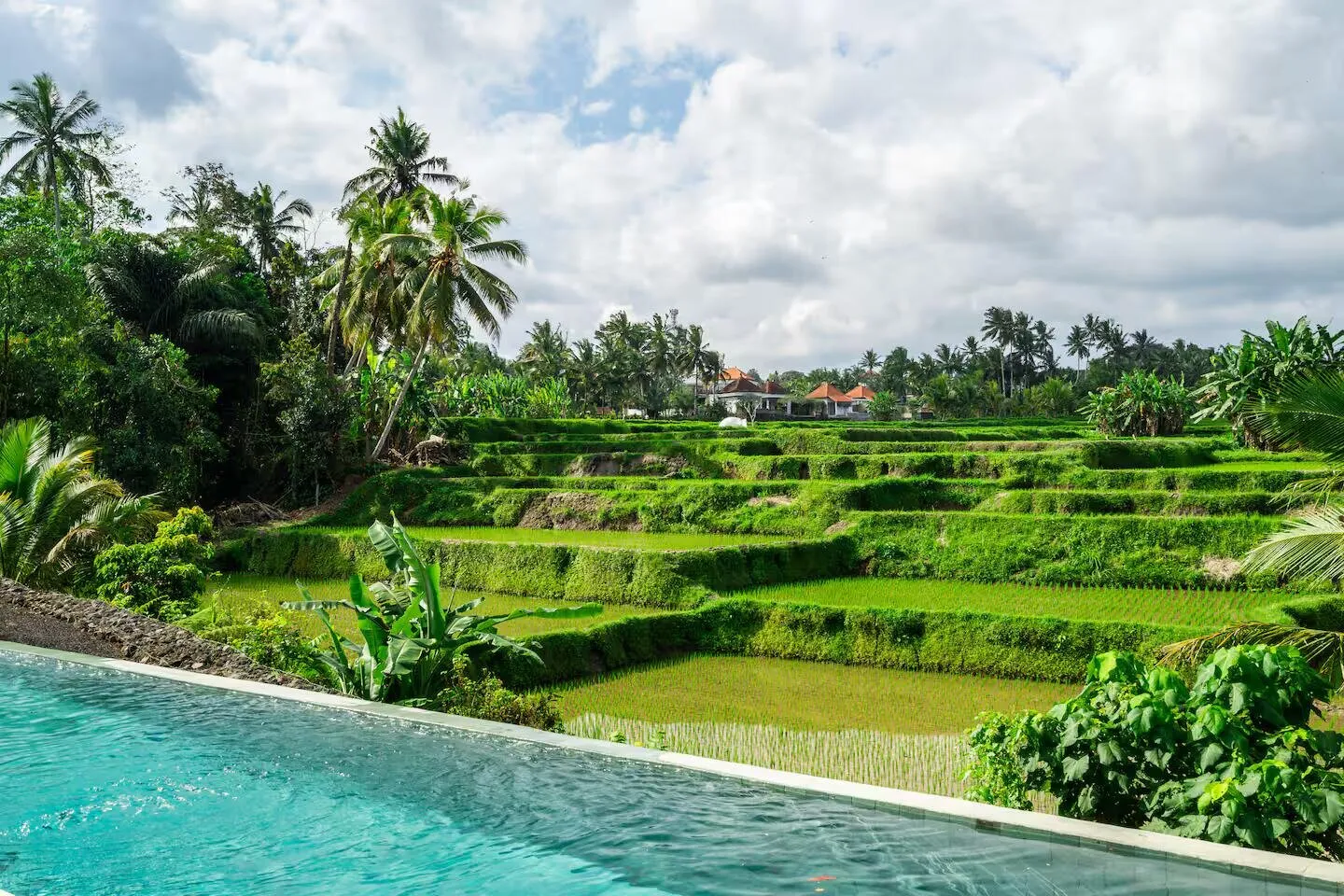 Villa de 4 dormitorios en venta en Ubud, Bali — 4/20
