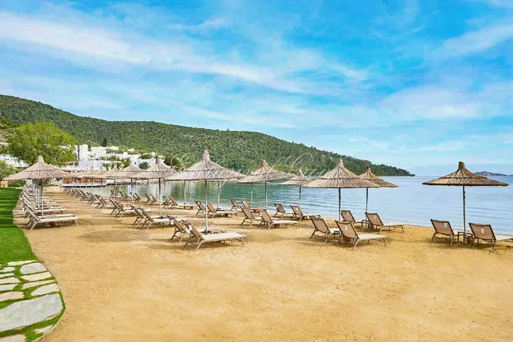 Gewerbeimmobilie zum Kauf in Bodrum, Muğla — 7/16