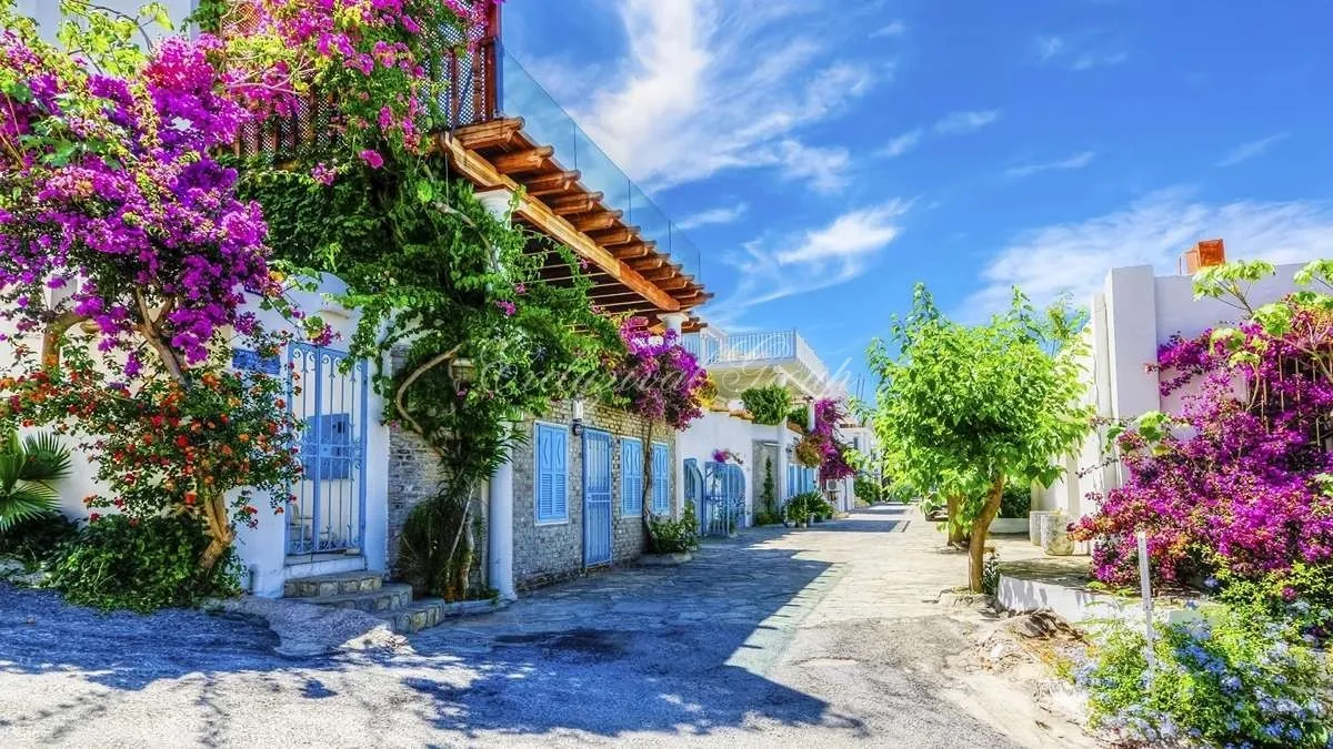 Вилла с 4 спальнями — Бодрум, Мугла — 19/20