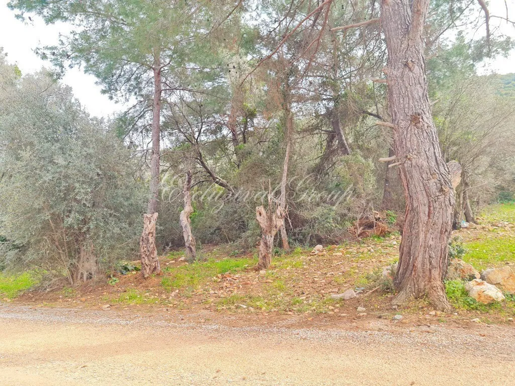 Appartement met 2 slaapkamers te koop in Bodrum, Muğla — 3/9