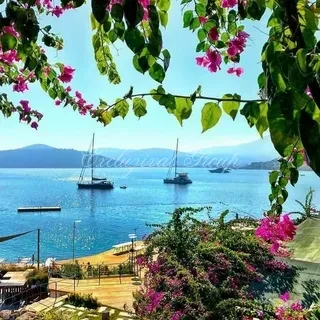 Villa mit 4 Schlafzimmern zum Kauf in Bodrum, Muğla — 13/20