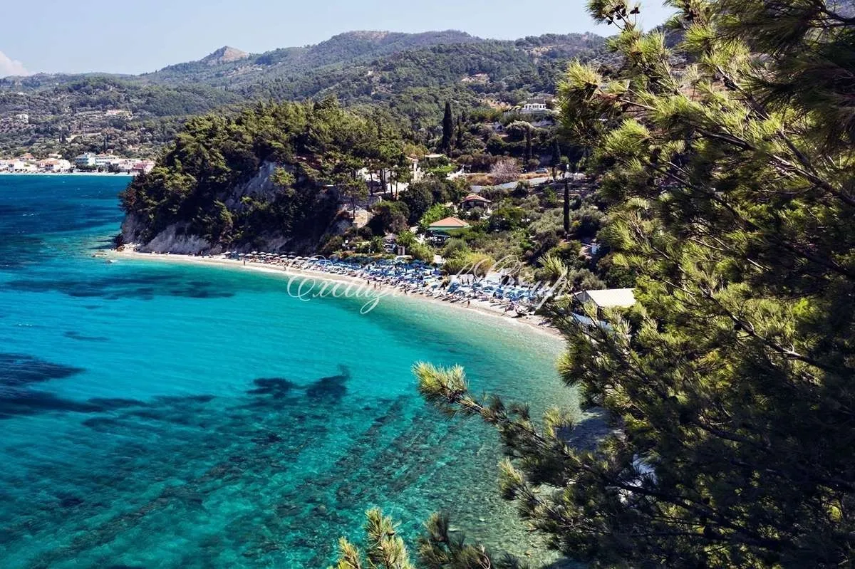 Villa met 3 slaapkamers te koop in Didim, Aydın — 2/10