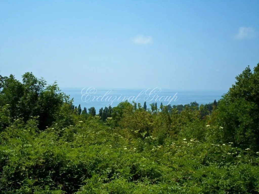 Plot in Bodrum, 11359 m²