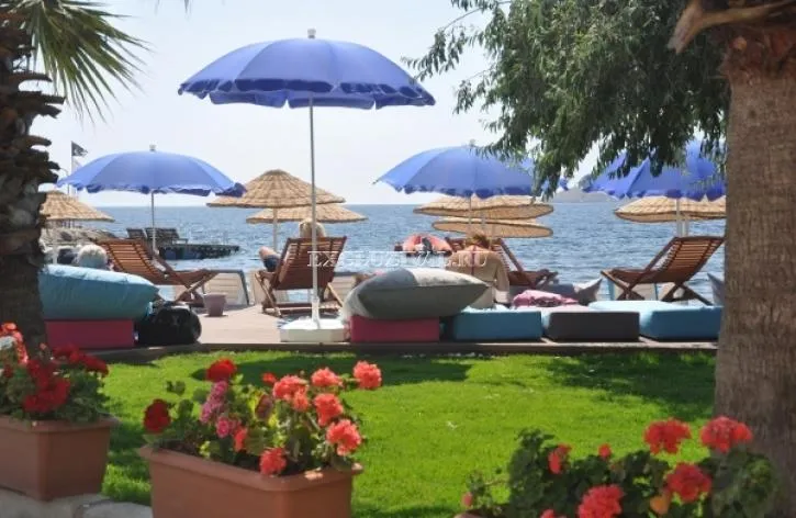 Commercial property for sale in Bodrum, Muğla — 3/3