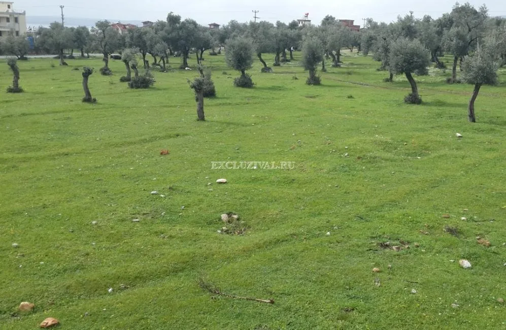Commercial property in Didim, 2500 m²