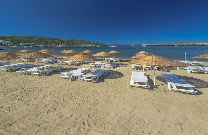 Bedrijfspand te koop in Bodrum, Muğla — 4/10