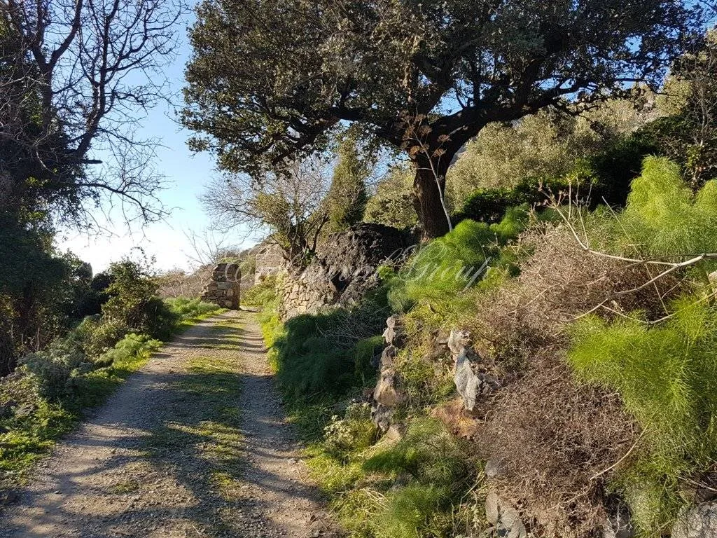 Grundstück zum Kauf in Bodrum, Muğla — 2/7