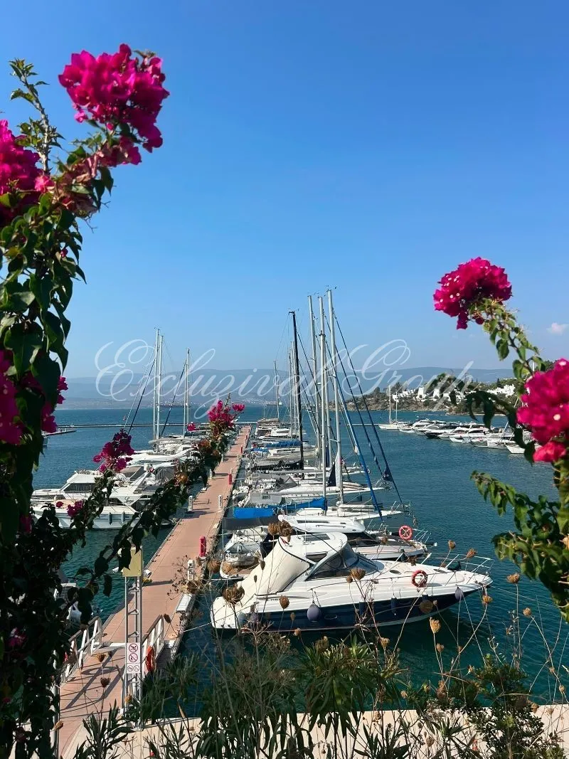 Villa mit 3 Schlafzimmern zum Kauf in Bodrum, Muğla — 11/18