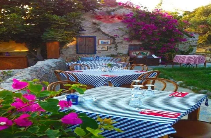 Gewerbeimmobilie zum Kauf in Bodrum, Muğla — 2/2
