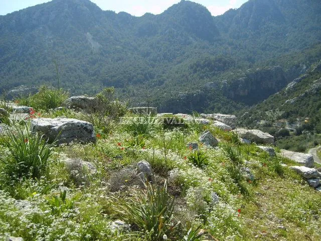 Plot in Gökova, 716 m²