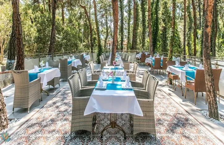 Commercial property in Kusadasi, 45000 m²